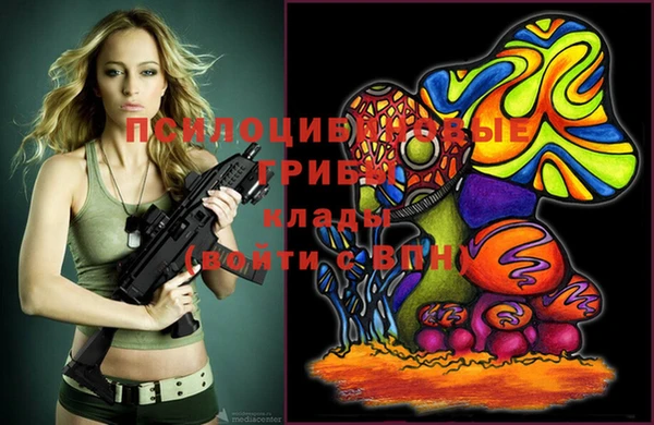 ECSTASY Вяземский